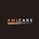 Logo AML CARS